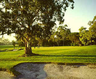 The magnificent 18th