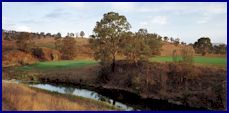 Ellerston Golf Course - 16th Hole