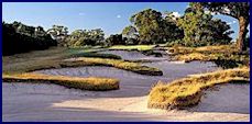 best of the short holes, 15 at Kingston Heath