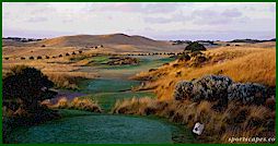 the dunes