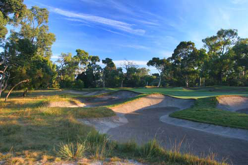 woodlands