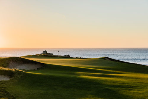 ocean dunes