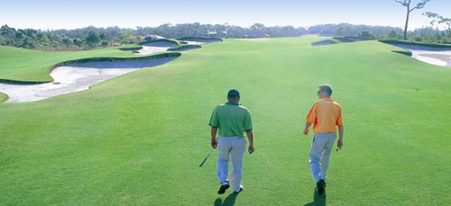 golf para 1