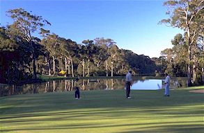 impeccable greens at Narooma
